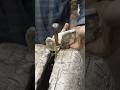 How to Repair a Sagging Car Door Hinge 🛠️ | Custom Bushing on Lathe#shorts