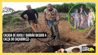 CAÇADA DE JAVALI! BARRÃO RASGOU A CALÇA DO CAÇADOR😱