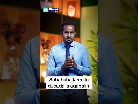 Somalia Duet News Ciyaalxamar Somalicommunity Motivation Wacyibile Bilemedia