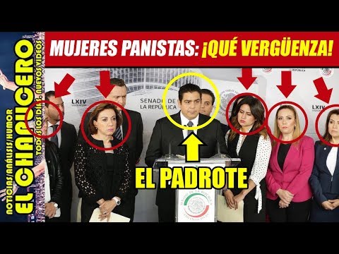 OBLIGAN A MUJERES PANISTAS ARROPAR A SENADOR PADROTE mexico primera division