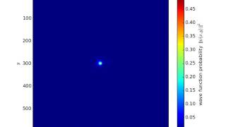 Quantum Mechanics Simulation -- Relaxation of Polarized Electron