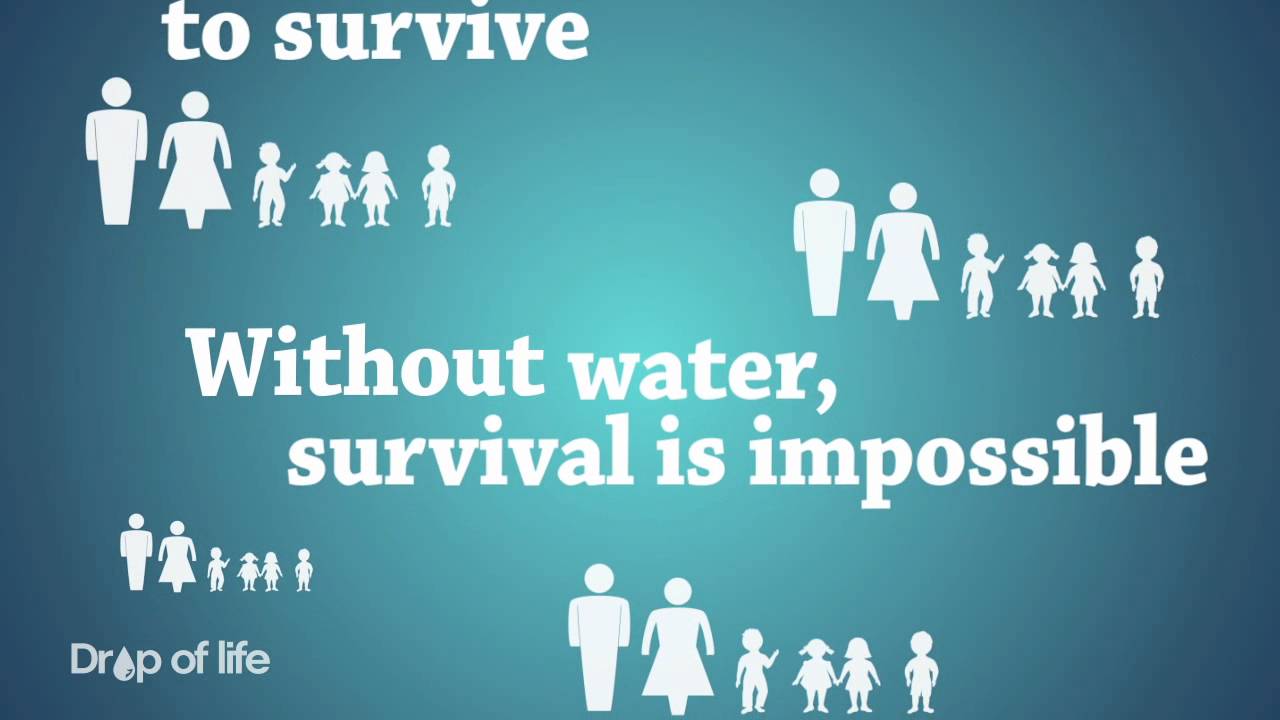 Importance Of Water Youtube