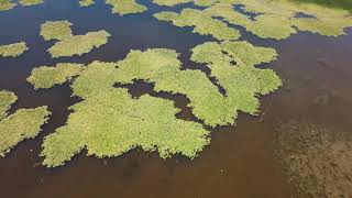 Işıklı Gölü Çivril Denizli Drone Çekim 4K /Işıklı Lake Denizli/Türkiye