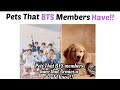 Pets that bts members have that armies u should know