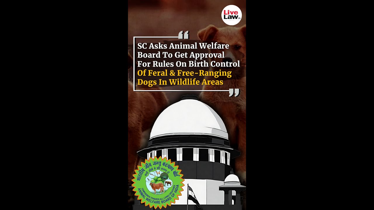 sc-directs-animal-welfare-board-to-seek-approval-for-birth-control