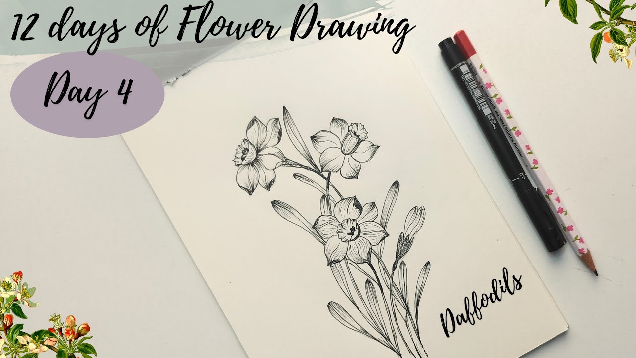 How to draw flowers - Day 4. Daffodil or Jonquil flower drawing tutorial for beginners.