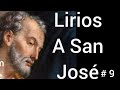 Lirios  a San José.  # 9 Miércoles 21 de junio