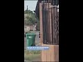Bear spotted in northeast Albuquerque
