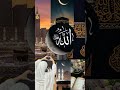 paya#Tiktok#youtubeshorts#islamicsatuts#shortvideo#shorts#phalastine