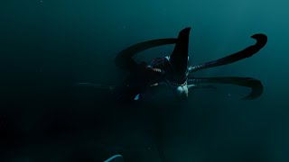 Never Go Behind The Aurora...