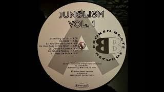 Dubtronix - What A Feeling
