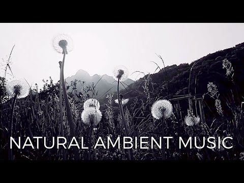 Waves in Elements - Ambient Music Video