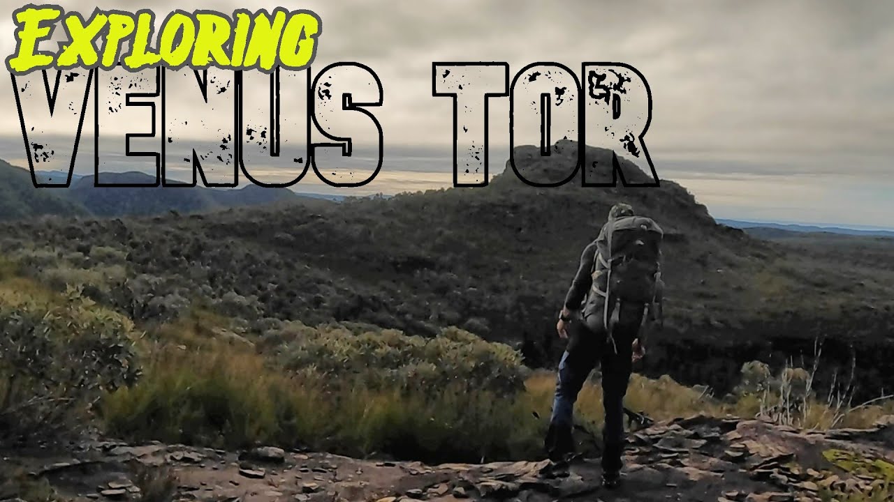 Exploring Venus Tor (via Mt Hay) | Blue Mountains NSW