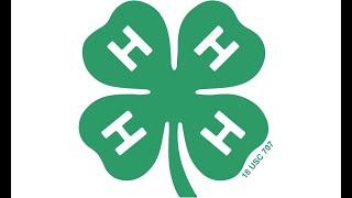 What is 4 H?
