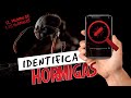 Pero qué hormiga es esta? | Identifica cualquier insecto o planta con tu movil 📱|