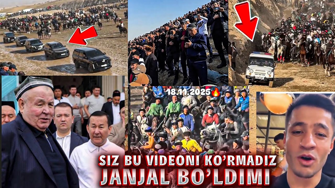 18-noyabr Uloq ZOMIN oqtosh ko'pkari To'ra boy bobo KATTA solimlar 2025 nimalar bo'ldi 