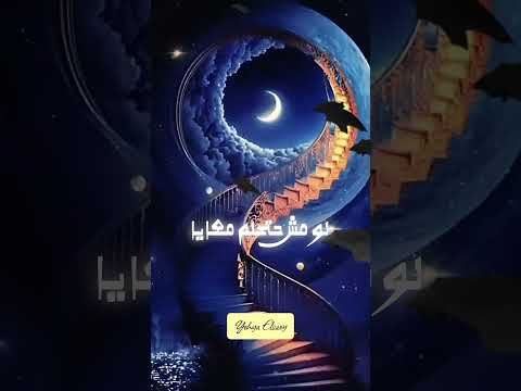 لو مش حتحلم معايا لعلي الحجار اكسبلور  علي الحجار الحلم احلم تحلم