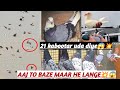 AAJ TO 21000 HAZAR KI UDHAN JEETI😱💥 ||SARE KABOOTAR 5:58 KE BAAD BATHE || #shorts #pigeon #youtube 