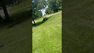 s550 vs z06 vette