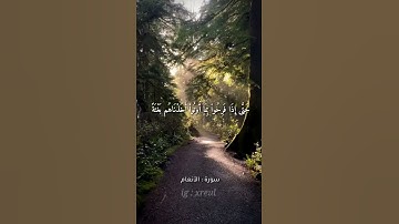 Quran Kareem story 🌸WhatsApp《 سوره الأنعام 》  أجمل قرائه قرآن كريم حالات واتس 🍃