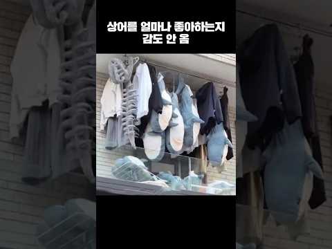 상어를 얼마나 좋아하는지 감도 안 <strong>옴</strong>