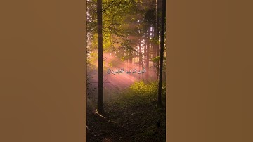 عَمَّ يَتَساءَلُونَ عَنِ النَّبَإِ الْعَظِيمِ _ عبدالباسط عبدالصمد || سورة النبا