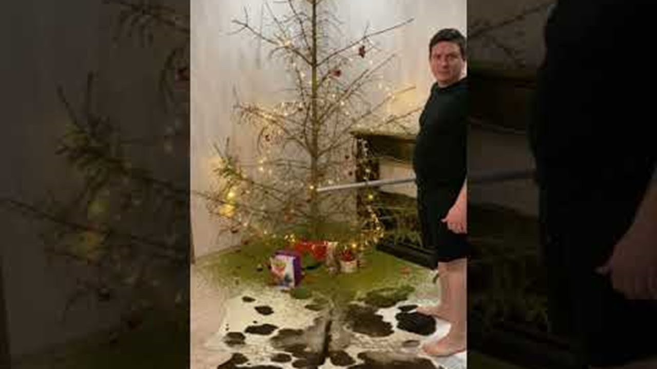 Christmas Tree Needles Fall Off With One Hit || ViralHog