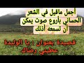 يا الوليدة عطيني رضاك قصيدة شعرية حسانية صحراوية مميزة عن الأم 