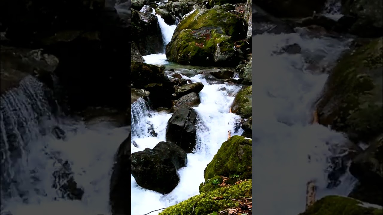 Pleasant sound of spring stream auf YouTube ansehen Pleasant sound of spring stream auf YouTube ansehen
