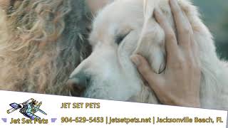 Jet Set Pets | Pets, Pet Services, Pet Training |
