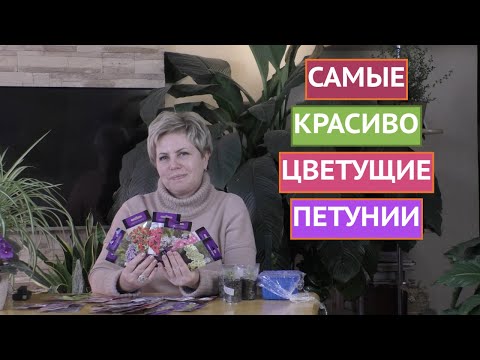 ВЫБИРАЕМ ПЕТУНИИ В СВОЙ САД! КАКИЕ СОРТА И РАЗНОВИДНОСТИ СУЩЕСТВУЮТ!