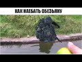 Как обмануть СОшника