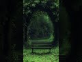 Amazon Park #relaxing #relax