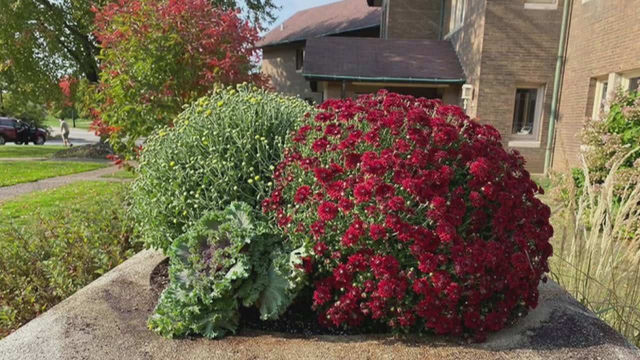 Hauberg Civic Center | Hauberg Fall Plant Sale