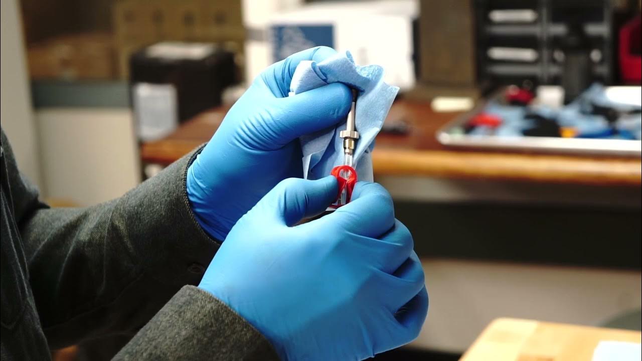 hayes dominion bleed