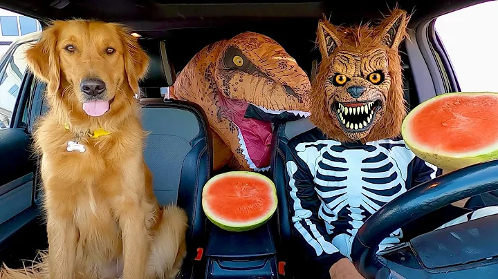 Wolf Surprises T-Rex & Puppy with Car Ride Chase
