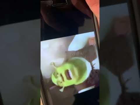 Epic shrek freestyle