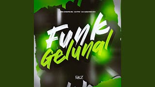 Funk Gelinal