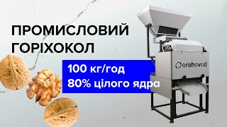 Промисловий горіхокол для волоського горіха. Максимальний вихід цілого ядра. Автоматизація переробки