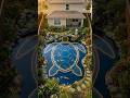 Your boring backyard becomes a GIANT turtle koi pond 🐢💧✨Wait for the final reveal… it gets insane
