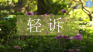 补充本320 轻诉