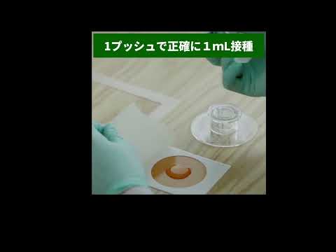 動画