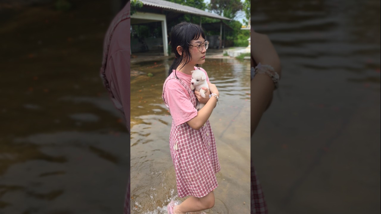 Cute Hero Japan‼️ How to Survive Flood💕❤️😘 | JJaiPan #Shorts