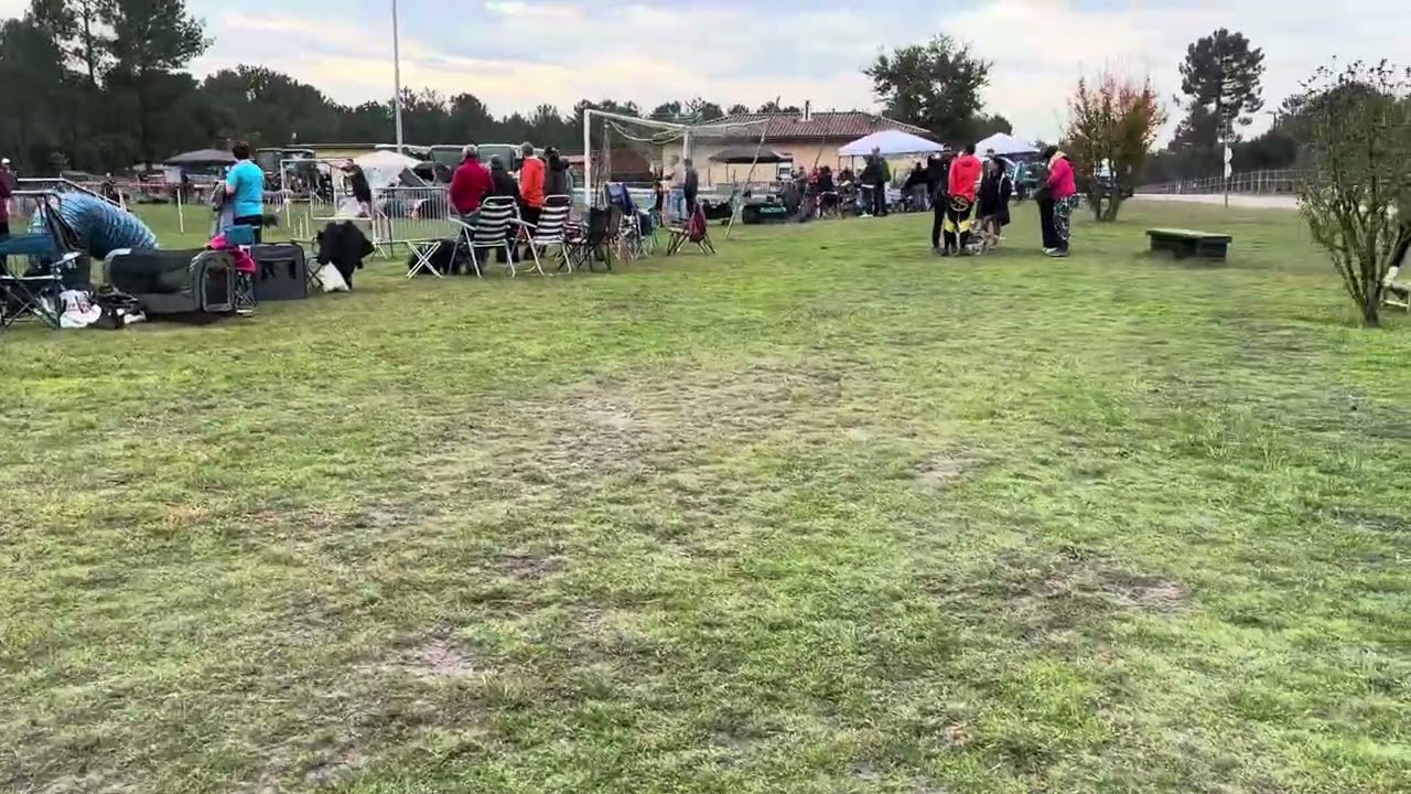 Avensan championnat de france agility 2026