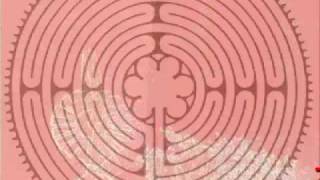 The Reincarnationist