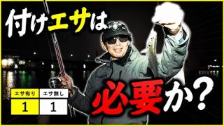 夜のサビキ釣りで「付けエサ」は必要なのか実釣検証してみた結果が衝撃だった！
