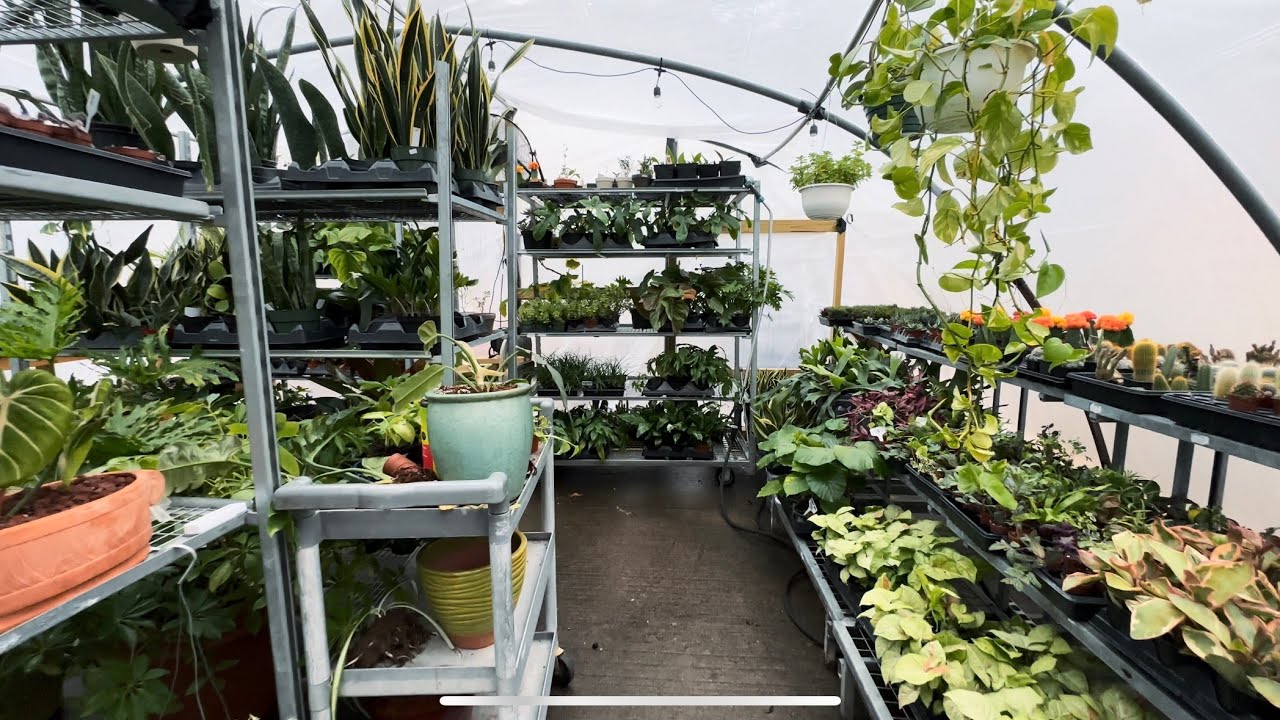 Glass Gardens by Stacey 4K Jackson, Missouri (Horus Marketing LLC