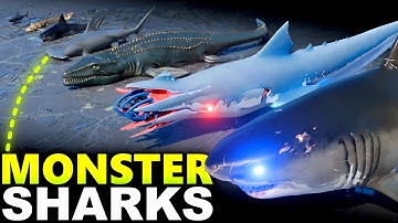 Monster Sharks Size Comparison 3D | Real, Extinct & Movie Sharks – How Big Are Sharks ?