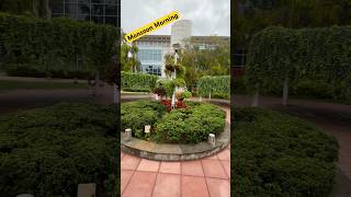 Beautiful Monsoon Morning