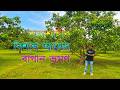 রাজশাহীর বিশাল আম বাগান ভ্রমণ | গ্রামের সুন্দর দৃশ্য দেখে মন ভরে যাবে | Explore With Bfine